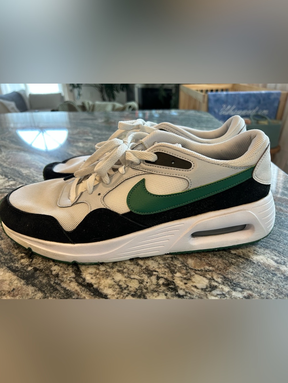 Nike Air Max men’s 12
